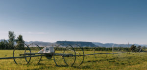 homepage-slider-intro