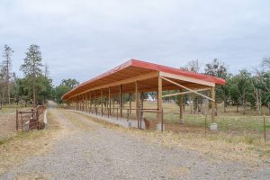 new-cattle-shelter-2